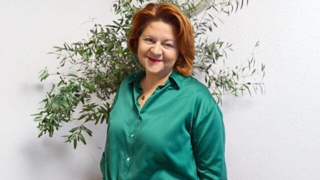 Slika članka
