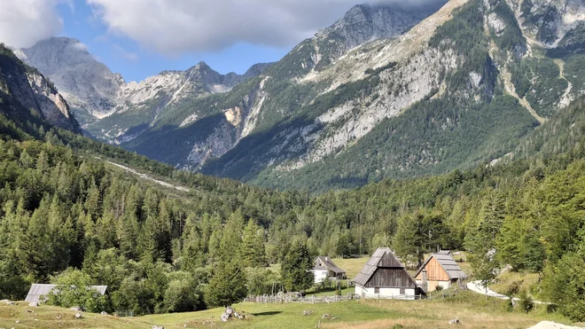 Slika članka