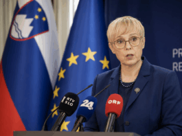 Slika članka