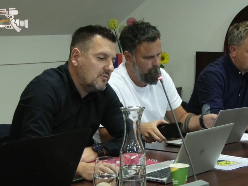 Slika članka