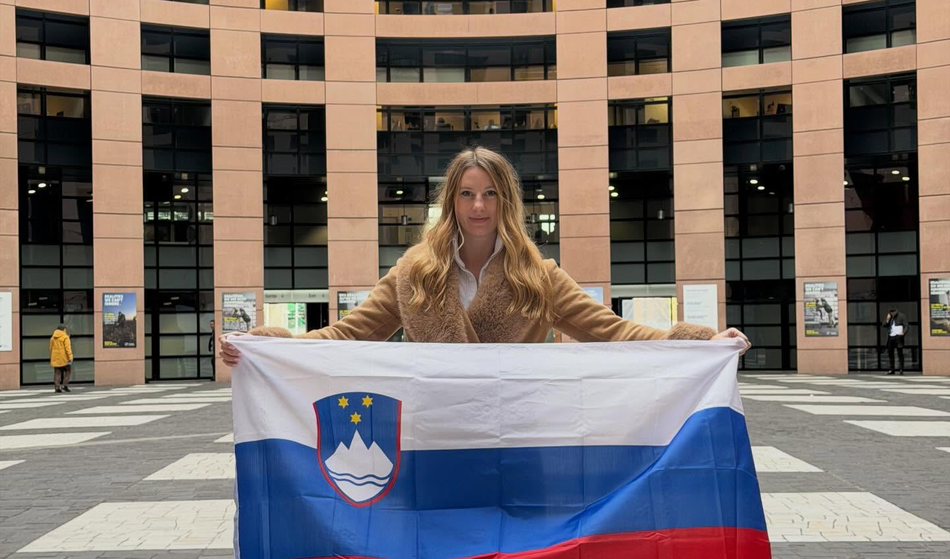 Slika članka
