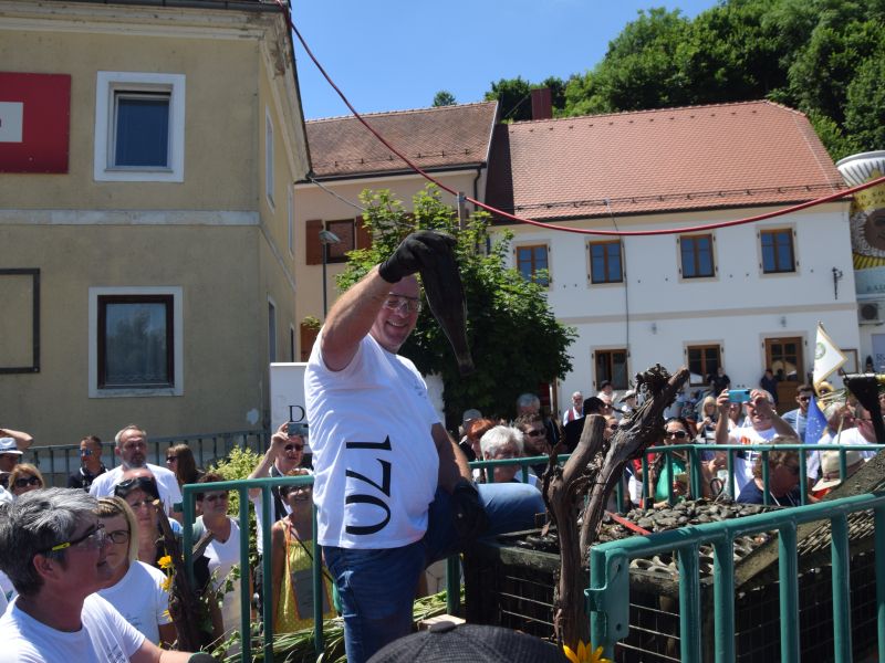 Slika članka