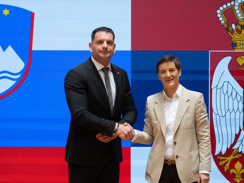Slika članka
