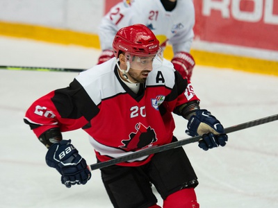 Slika članka