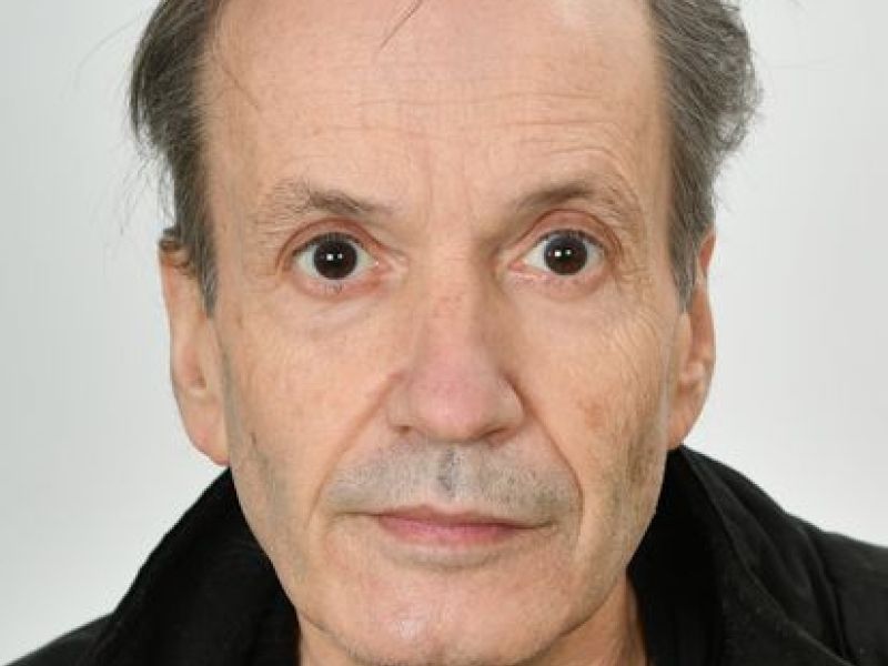 Slika članka