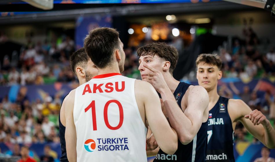 Slika članka