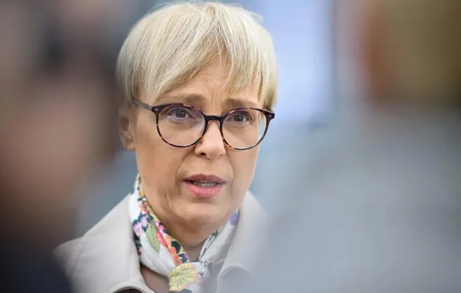 Slika članka
