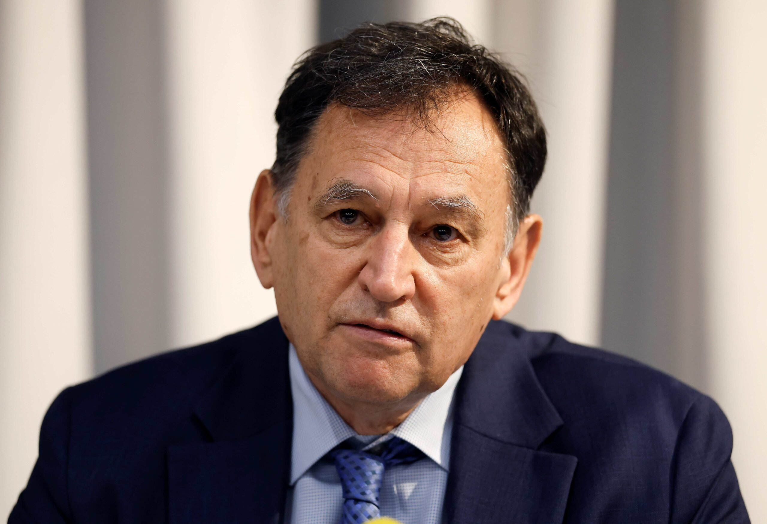 Slika članka