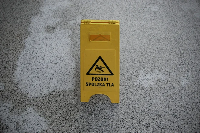Slika članka