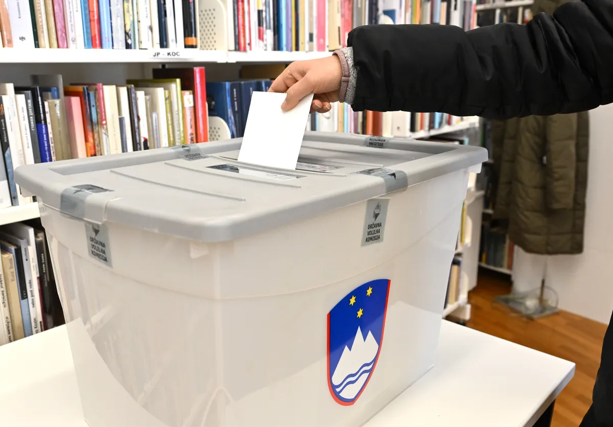 Slika članka