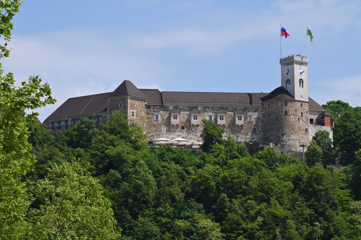 Slika članka