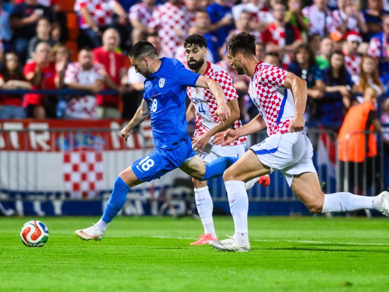 Slika članka