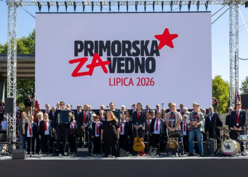 Slika članka