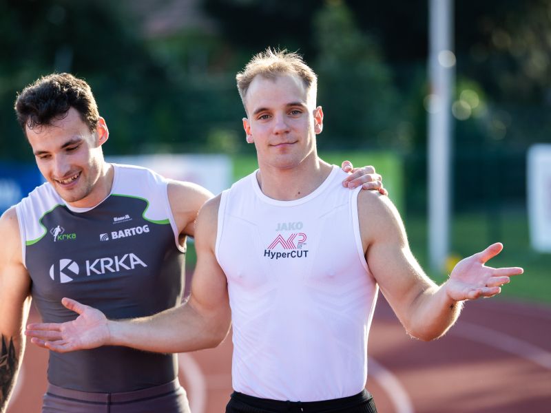 Slika članka