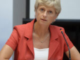 Slika članka