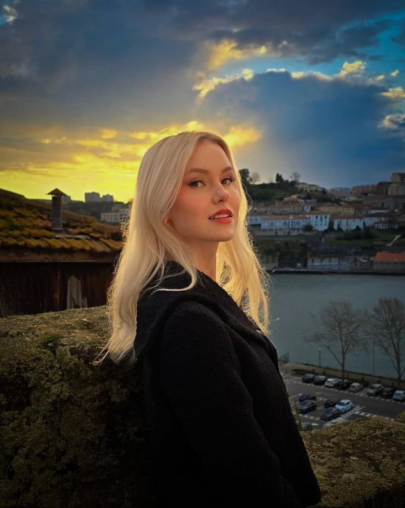 Slika članka