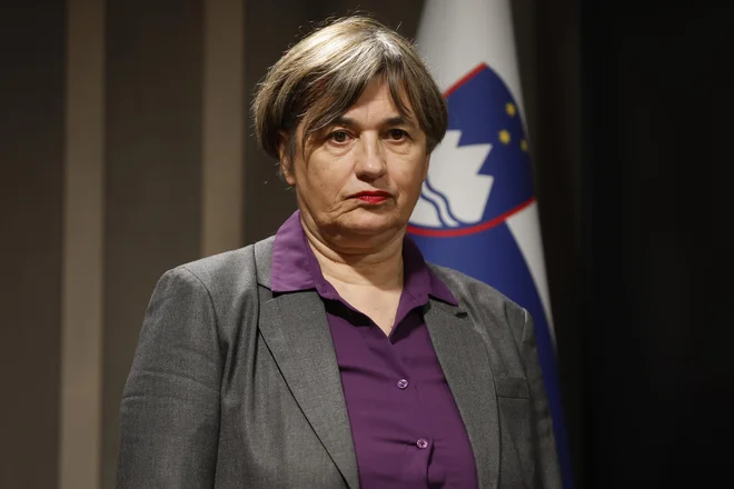 Slika članka