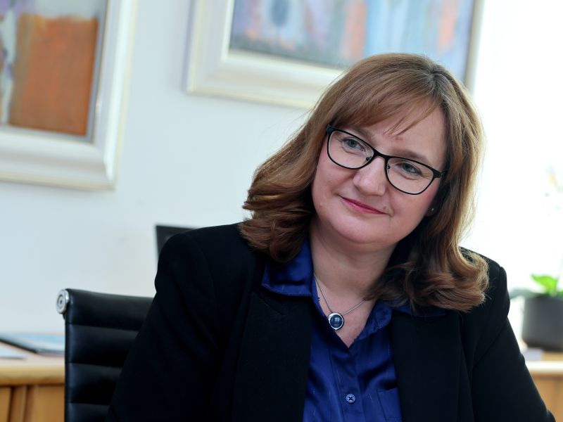 Slika članka
