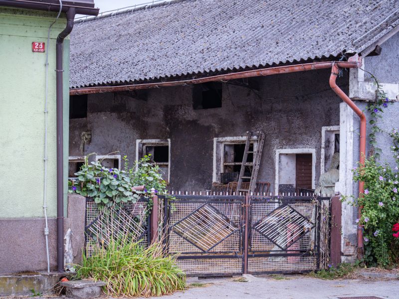 Slika članka