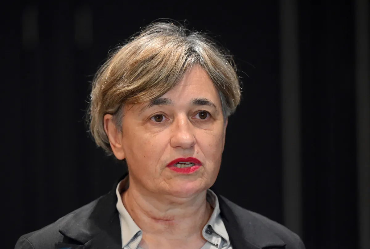 Slika članka