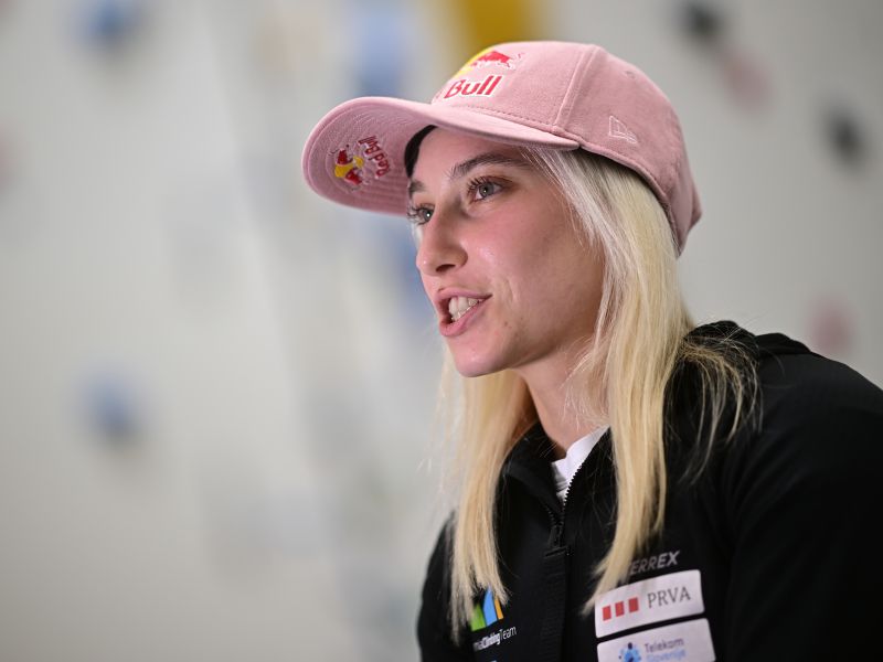 Slika članka