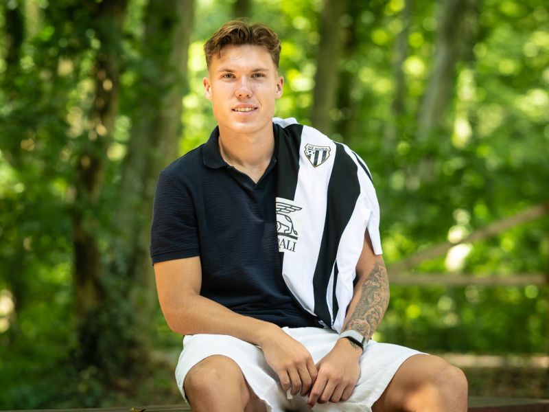 Slika članka