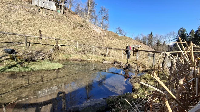 Slika članka