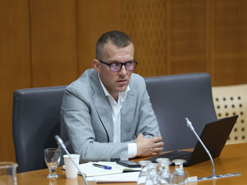 Slika članka