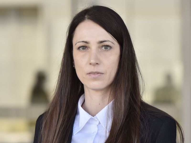 Slika članka