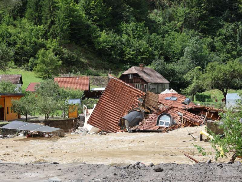 Slika članka