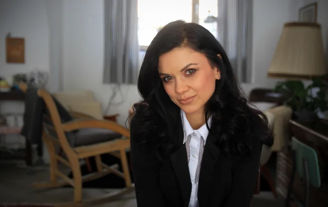 Slika članka