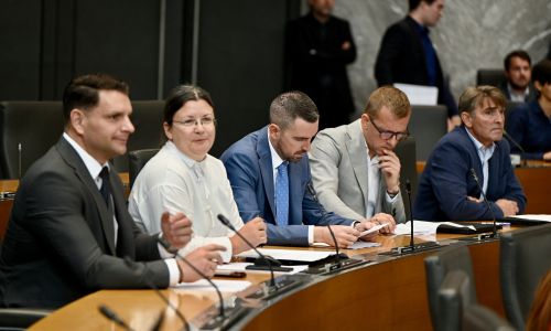 Slika članka