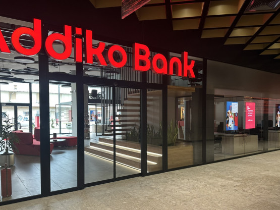 Slika članka