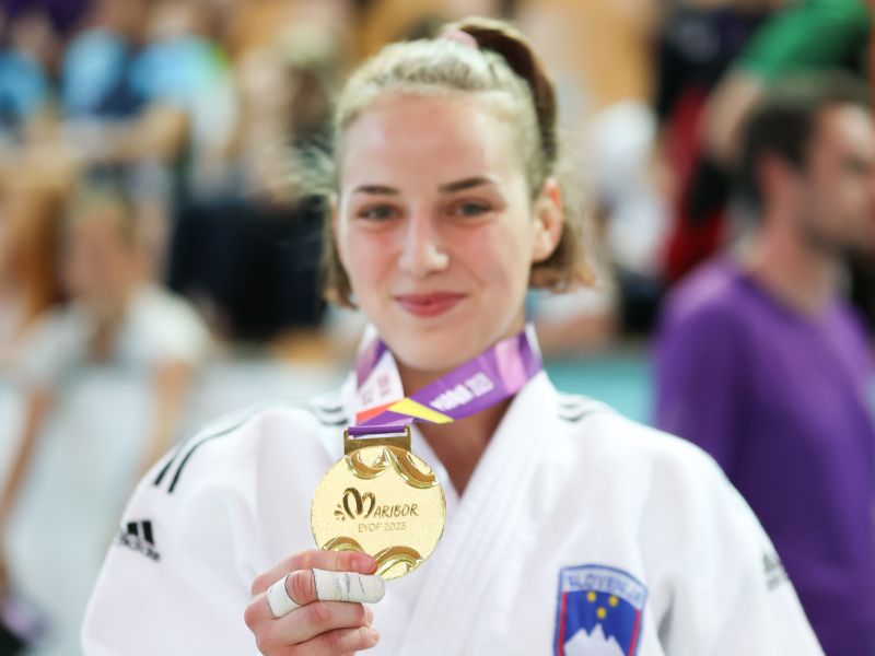 Slika članka