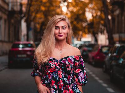 Slika članka