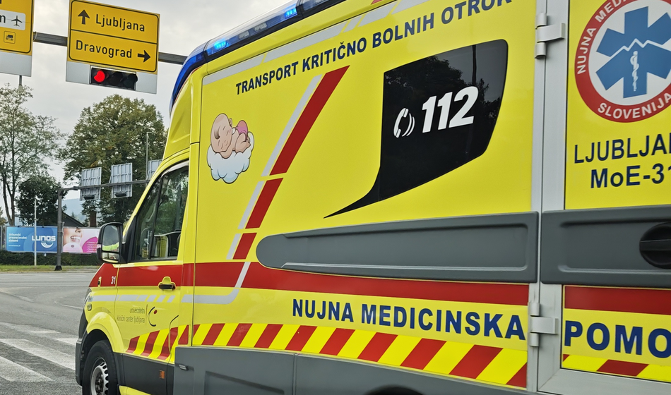Slika članka