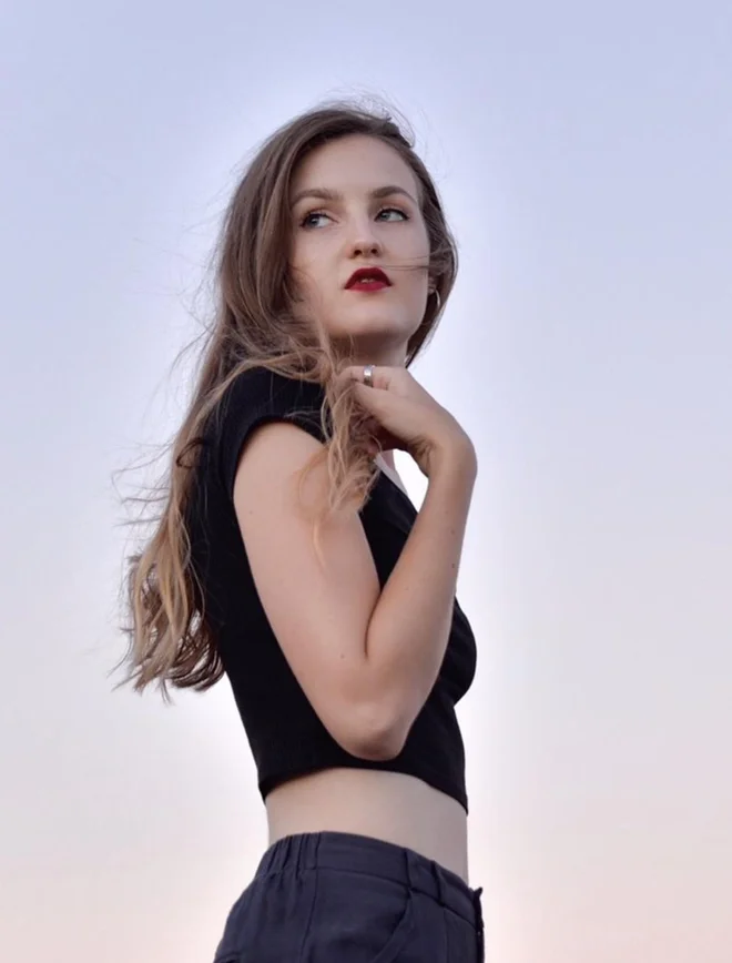 Slika članka