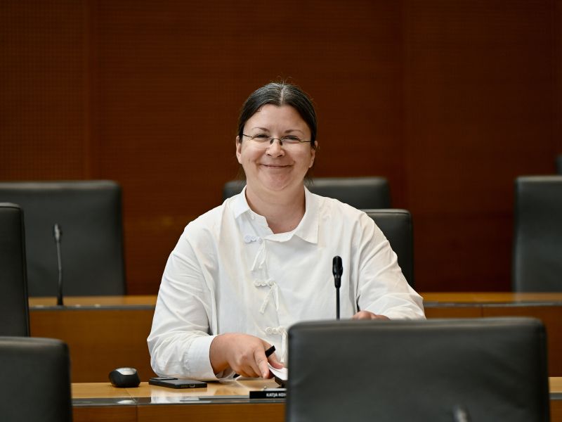 Slika članka