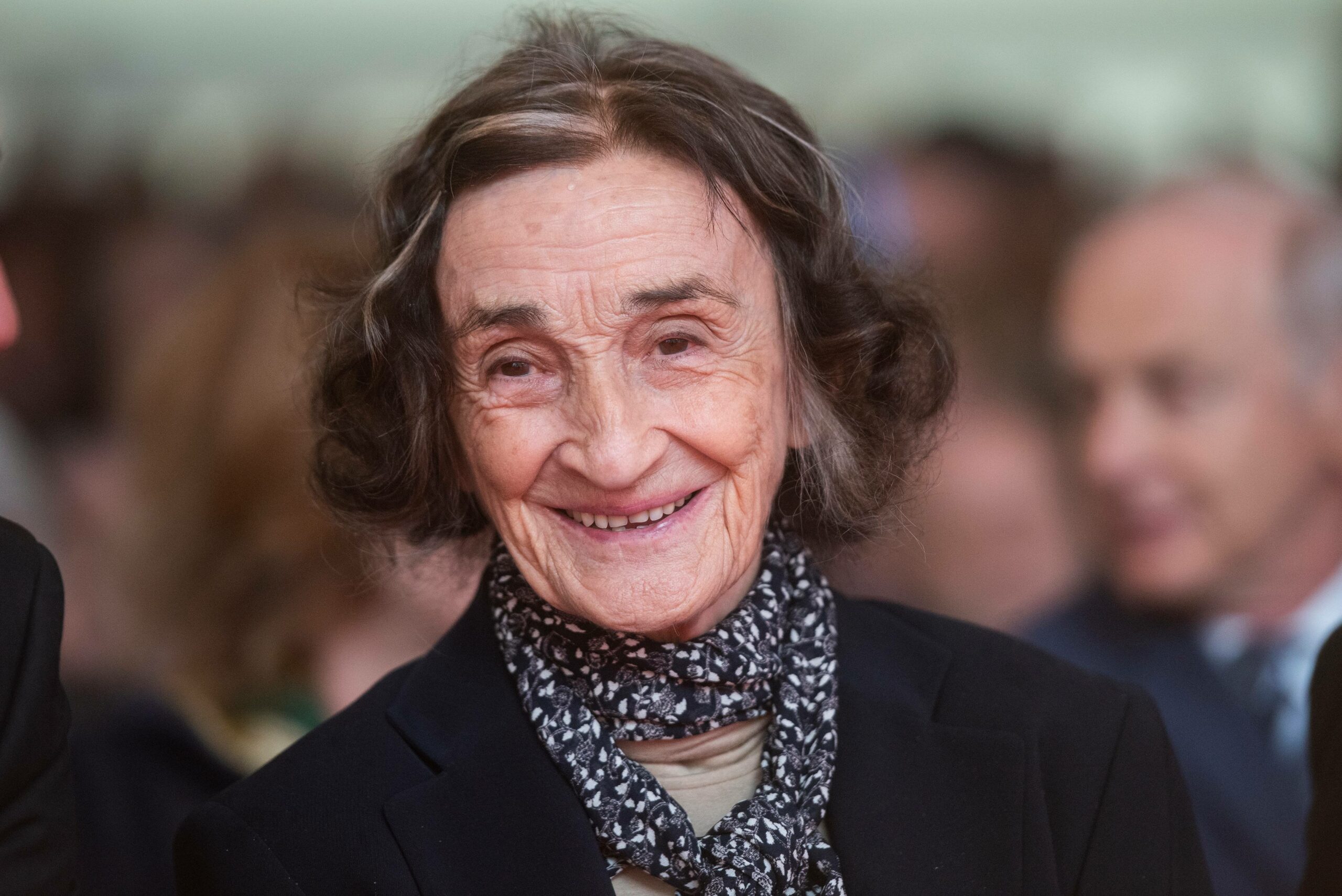 Slika članka