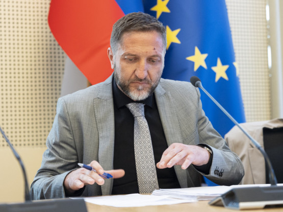 Slika članka