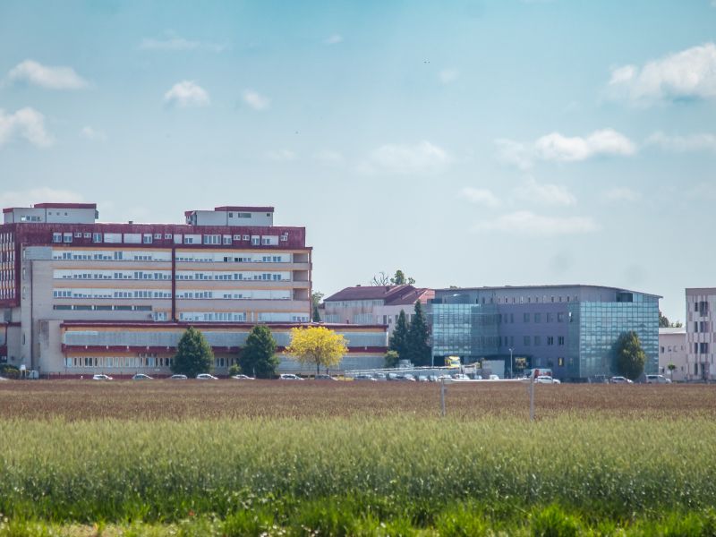 Slika članka
