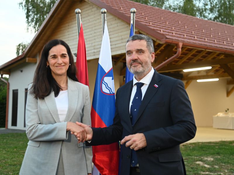 Slika članka
