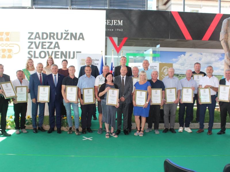 Slika članka