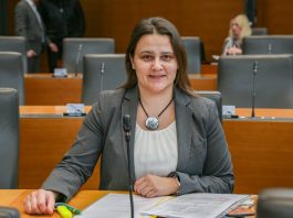 Slika članka
