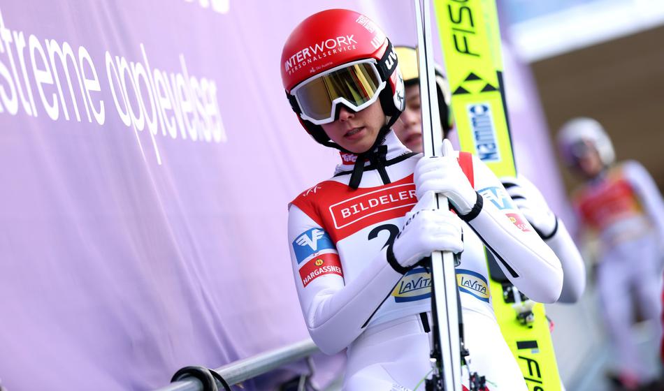 Slika članka