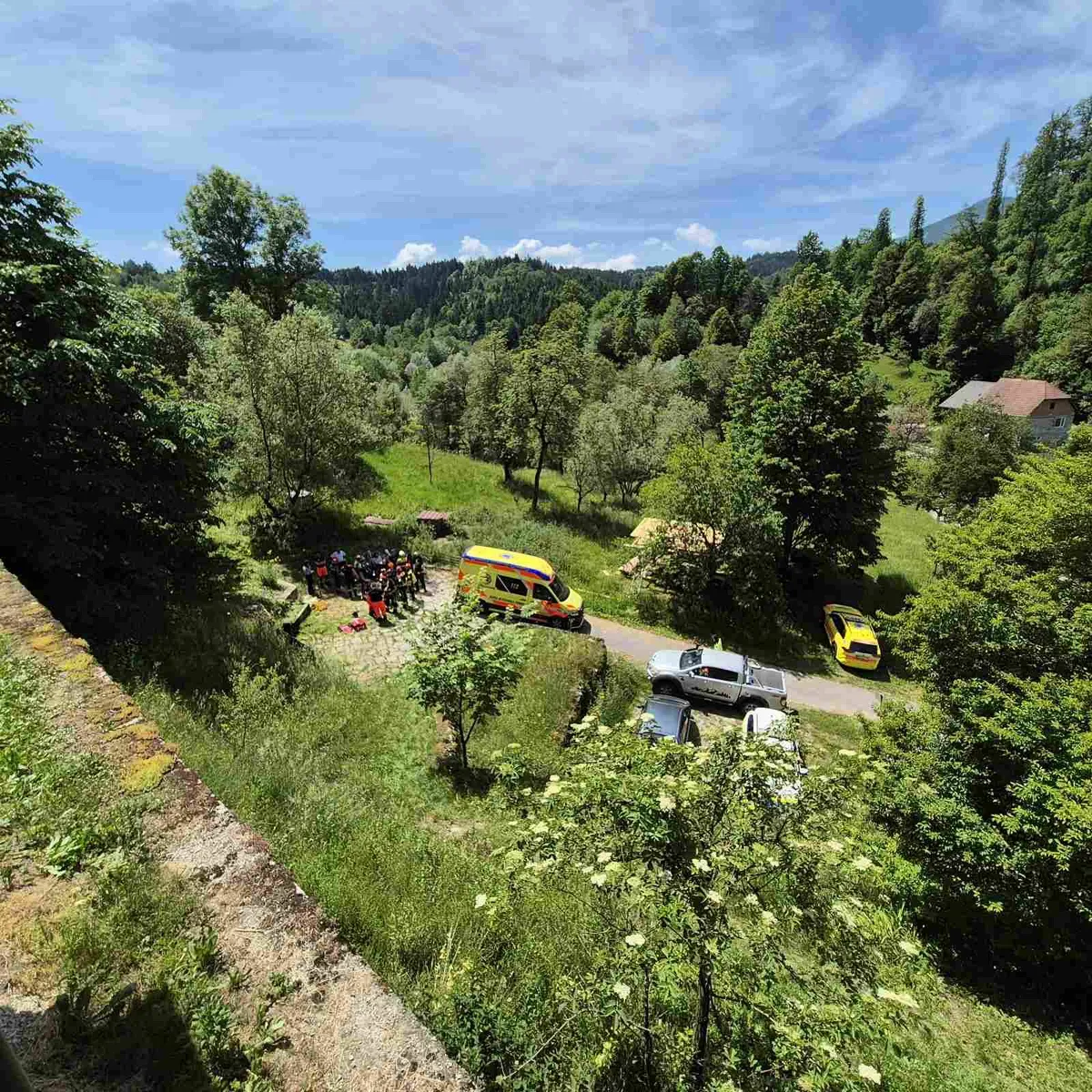 Slika članka