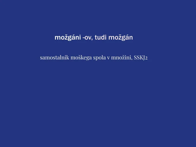 Slika članka