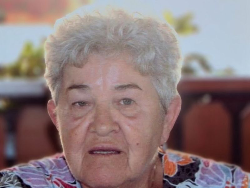 Slika članka