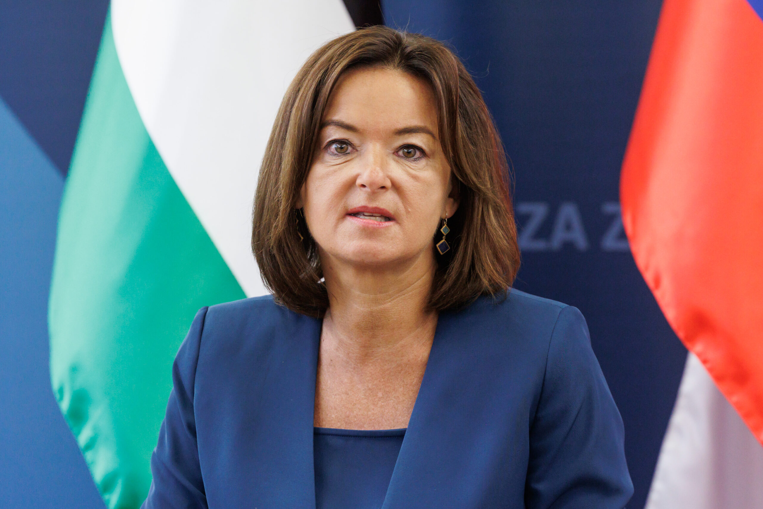 Slika članka