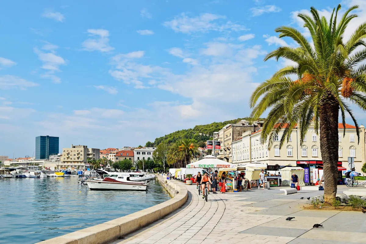 Slika članka